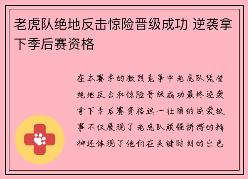 老虎队绝地反击惊险晋级成功 逆袭拿下季后赛资格